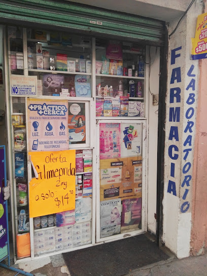 Farmacia Farmalex Avenida Magnolias, Granjas San Pablo, 54930 San Pablo De Las Salinas, Méx. Mexico