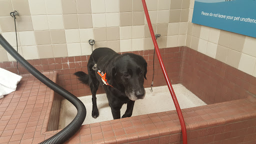 Pet Supply Store «Pet Food Express», reviews and photos, 2531 Fair Oaks Blvd, Sacramento, CA 95825, USA