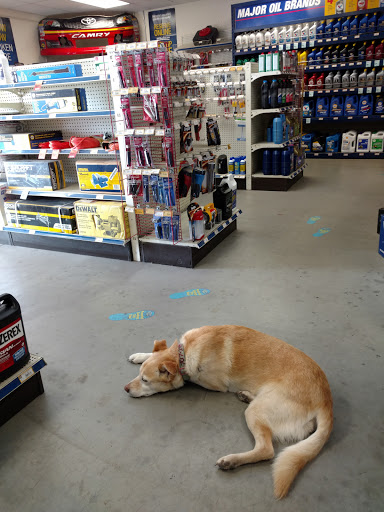 Auto Parts Store «NAPA Auto Parts - Apache Trail Auto Supply», reviews and photos, 11206 E Apache Trail #1, Apache Junction, AZ 85120, USA
