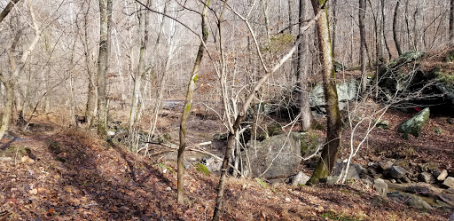 Hiking Area «Patapsco State Park Hiking Trail Entrance», reviews and photos, Baltimore National Pike, Ellicott City, MD 21043, USA