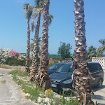 Photo n°15 de l'avis de Francesco.i fait le 05/07/2020 à 18:54 sur le  Hotel Residence Parco Del Sole | Gargano à Rodi Garganico