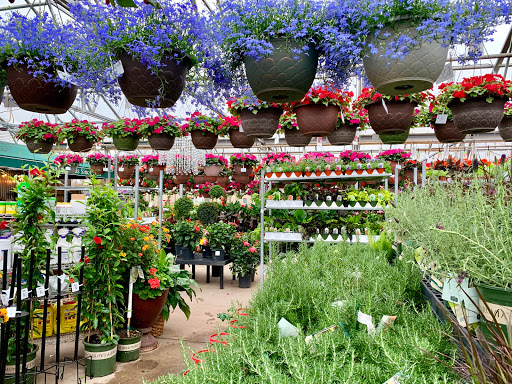 Florist «Forest Lake Floral, Gift & Garden», reviews and photos, 508 Lake St S, Forest Lake, MN 55025, USA