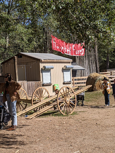 Farm «Buford Corn Maze.», reviews and photos, 4470 Bennett Rd, Buford, GA 30519, USA