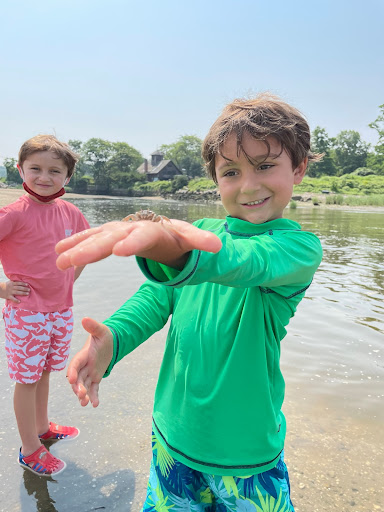 Learning Center «Science Museum of Long Island», reviews and photos, 1526 N Plandome Rd, Manhasset, NY 11030, USA