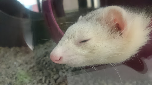 Pet Supply Store «Petco Animal Supplies», reviews and photos, 473 State Rd, North Dartmouth, MA 02747, USA