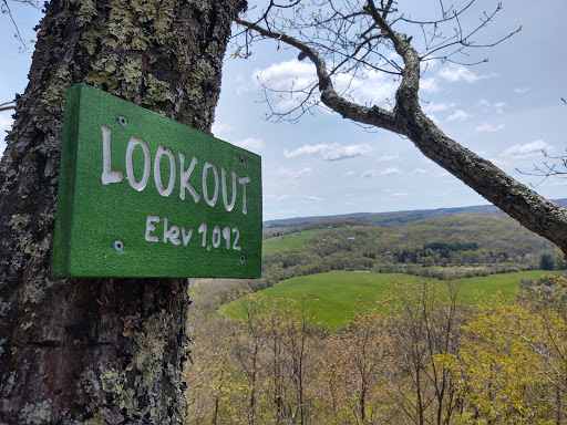 Nature Preserve «Macricostas Preserve», reviews and photos, 121 Christian St, New Preston, CT 06777, USA