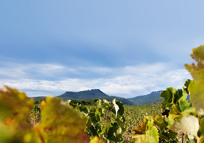 Cassagne et Vitailles à Montpeyroux