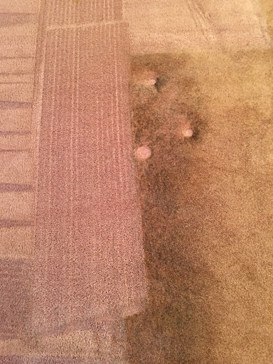 Carpet Cleaning Service «Able Janitorial & Carpet Services - Carpet Cleaning Longview, Tx», reviews and photos, 5734 TX-300 #15, Longview, TX 75604, USA