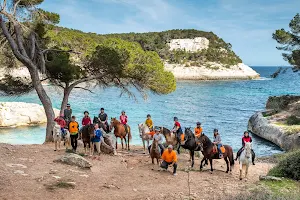 Menorca a Cavall (obert tot l'any) Recorregut per camins privats i camins de cavalls. image