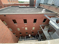 Animal Remover Dayton - Photo 3 - Car repair in Beavercreek, OH, Dayton