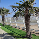 Photo n° 1 de l'avis de Pat.r fait le 23/03/2022 à 12:34 pour La Villa - Bar Resto' Lounge à La Tranche-sur-Mer