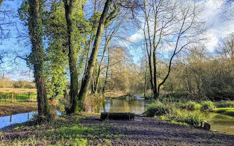 Smallbrook Meadows Nature Reserve image