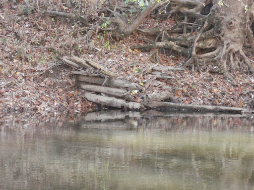 Canoe & Kayak Rental Service «Higher Pursuits», reviews and photos, 3114 Cheeks Bend Rd, Columbia, TN 38401, USA