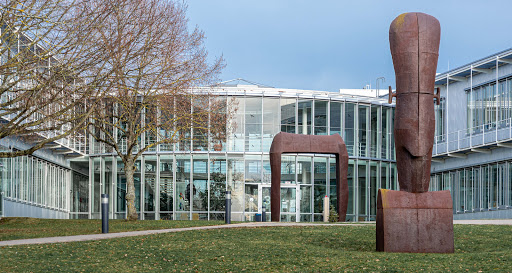 Institut für Bioverfahrenstechnik