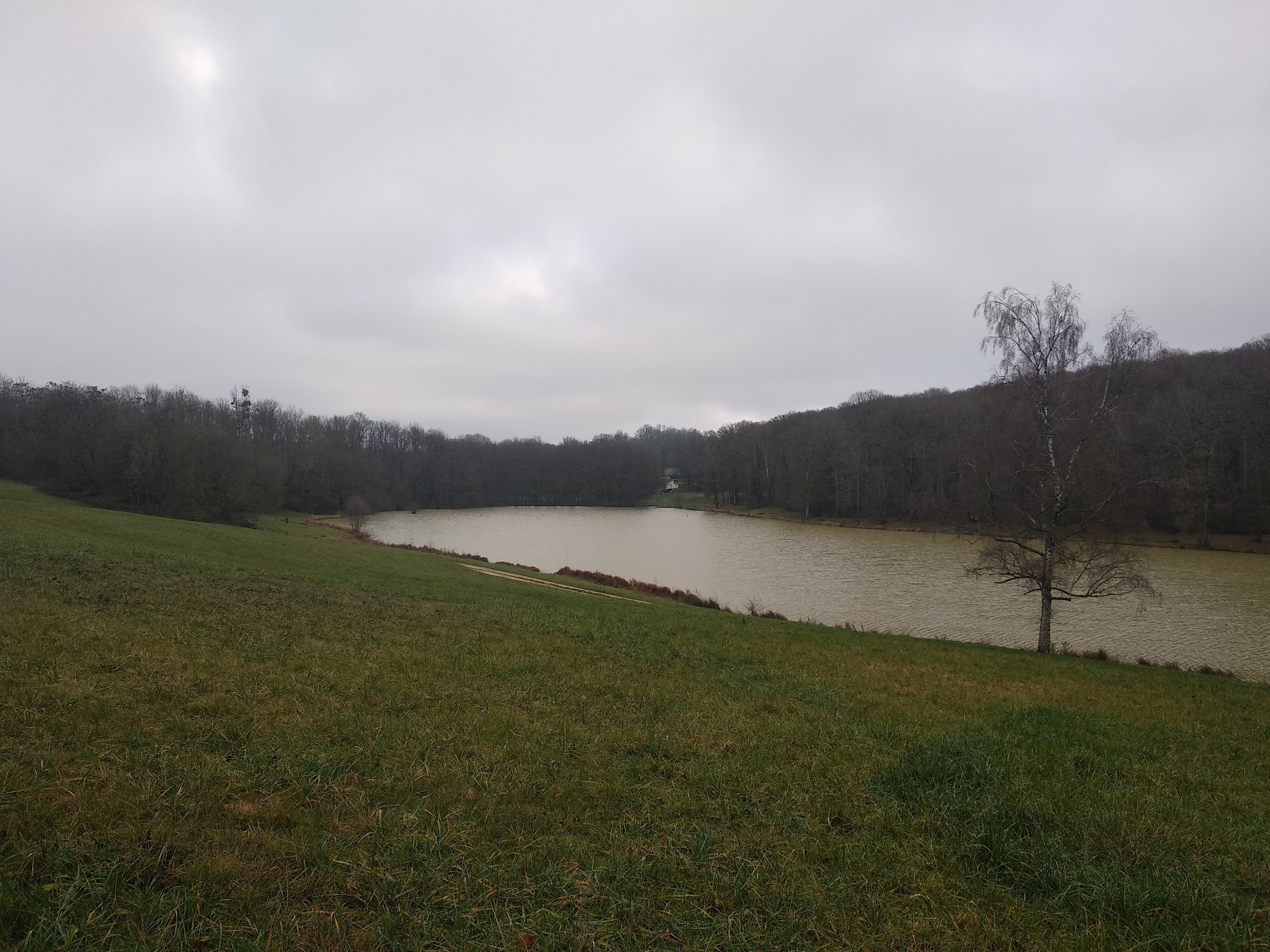 Photo n° 7 de l'avis de Taras.a fait le 27/12/2019 à 00:52