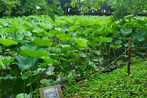 北部公園 都市緑化植物園ブロック image