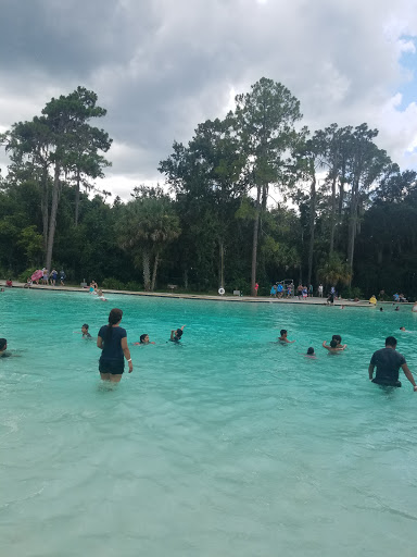 Cafe «Hillsborough State Park Poolside Cafe», reviews and photos, 15402 U.S. 301, Thonotosassa, FL 33592, USA