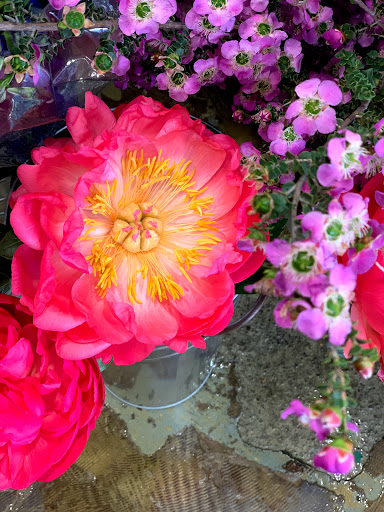 Florist «City Bloom, Inc», reviews and photos, 1300 Clay St #162b, Oakland, CA 94612, USA