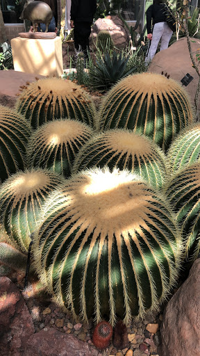 Gift Shop «Meijer Gardens Gift Shop», reviews and photos, 1000 E Beltline Ave NE, Grand Rapids, MI 49525, USA