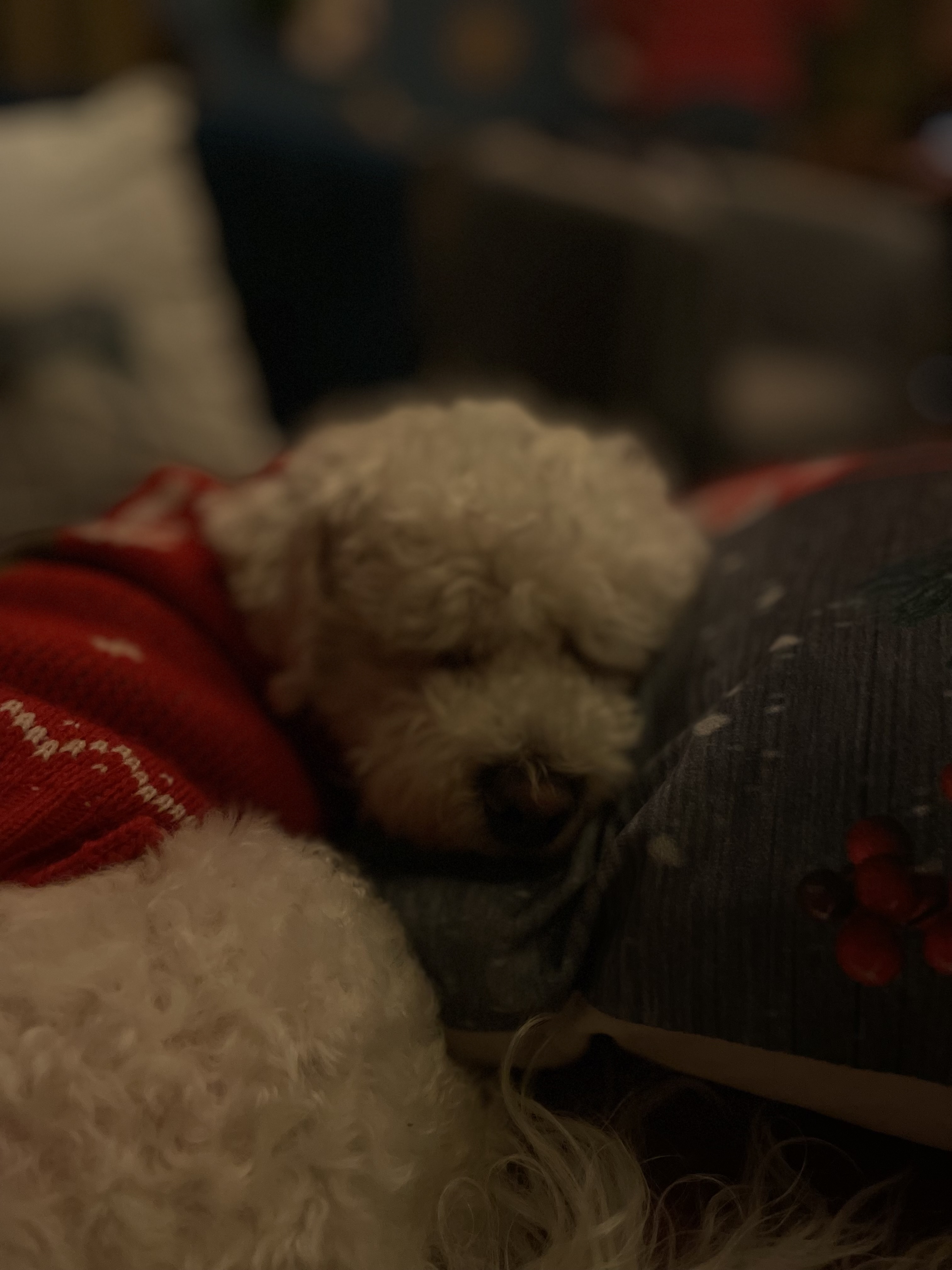Photo n° 5 de l'avis de Sofia.i fait le 28/12/2022 à 17:47