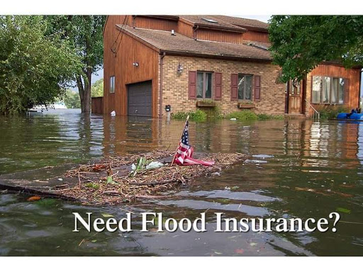 Insurance Agency «My Insurance Store», reviews and photos