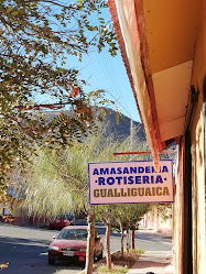 Amasanderia Gualliguaica