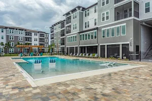 The Oasis at 301 Luxury Apartment Homes image