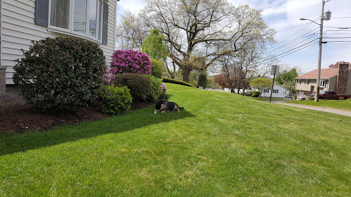 Golf Course «Unicorn Golf Course», reviews and photos, 460 William St, Stoneham, MA 02180, USA