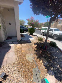 Bulwark Exterminating - Photo 6 - Car repair in Las Vegas, NV, Las Vegas