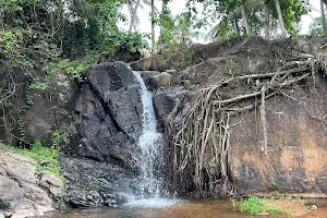 Aruvickal Waterfalls image