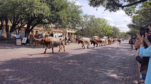 Museum «Stockyards Museum», reviews and photos, 131 E Exchange Ave # 113, Fort Worth, TX 76164, USA