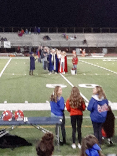 Stadium «East China School District Stadium», reviews and photos, 1587 Meisner Rd, East China, MI 48054, USA