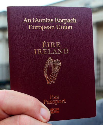 Doradca Irlandia