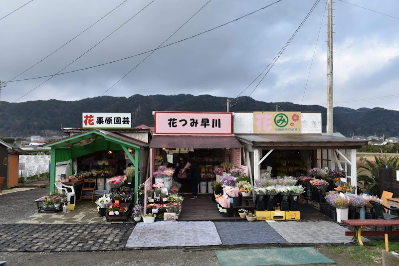 千田の花畑フラワーショップ山口