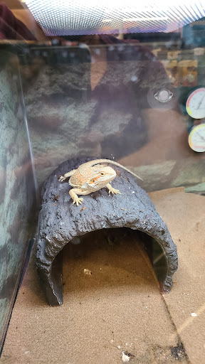 Pet Supply Store «Petco Animal Supplies», reviews and photos, 4012 W 27th Ave, Kennewick, WA 99337, USA