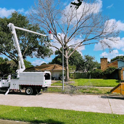 Valerio's Tree Service & More