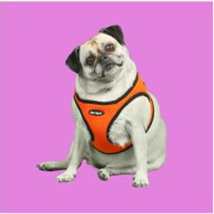 Pet Store «Classic Pet Supply», reviews and photos, 34790 23 Mile Rd, Chesterfield, MI 48047, USA