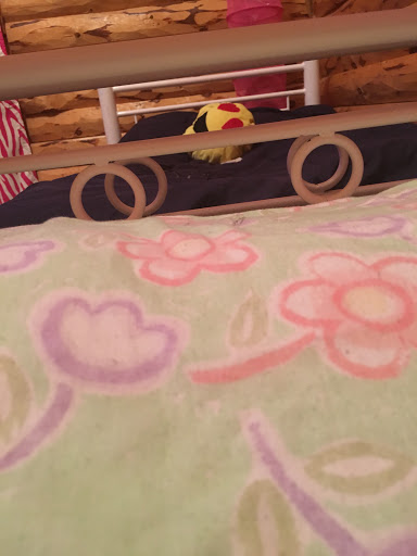 Pet Store «Pet Valu», reviews and photos, 1016 Beards Hill Rd, Aberdeen, MD 21001, USA