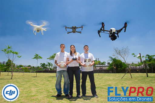 Logo da empresa - FlyPro - Soluções em Drones