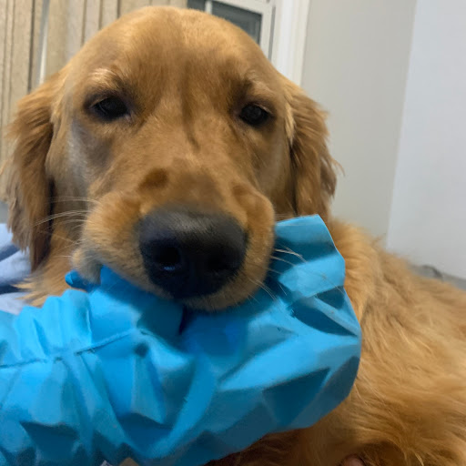 Pet Supply Store «K-9 Specialties», reviews and photos, 31936 Mound Rd, Warren, MI 48092, USA