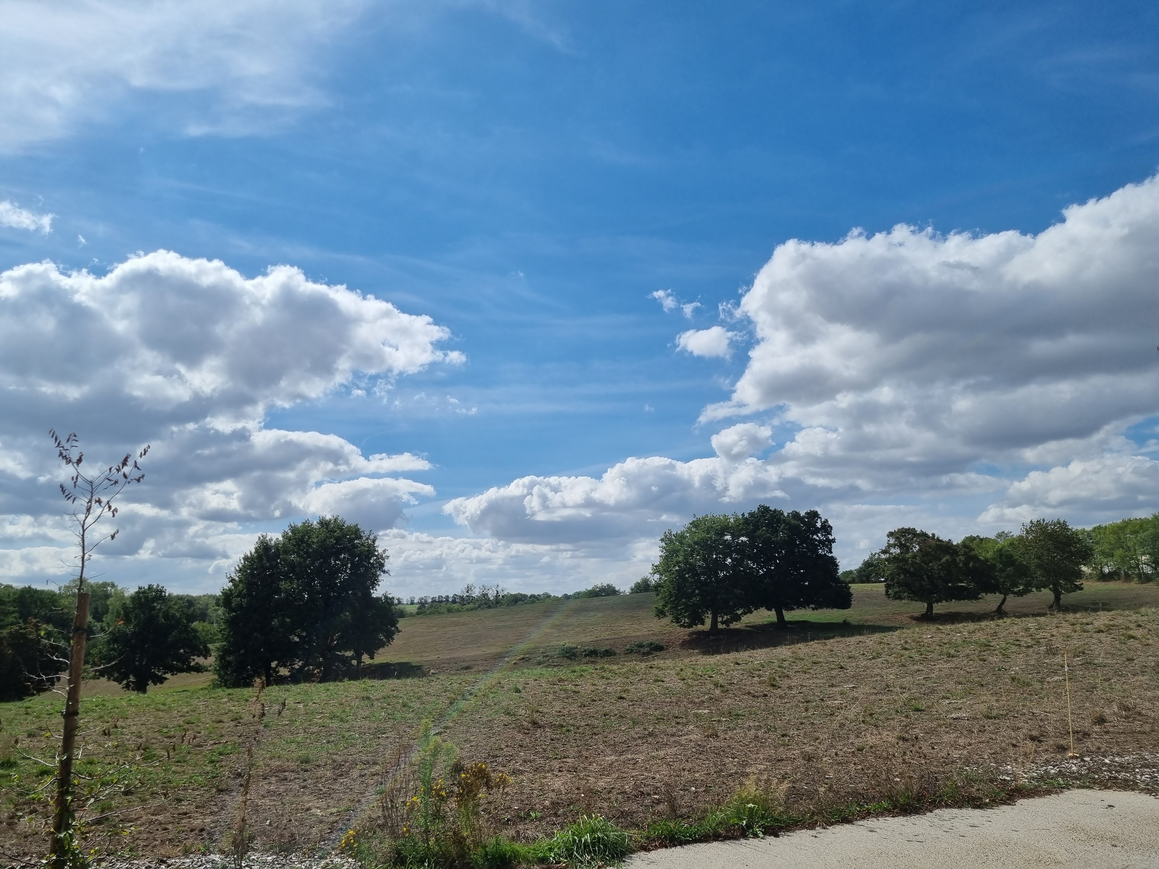 Photo n° 13 de l'avis de A-L.E fait le 14/09/2022 à 12:05