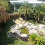 Photo n° 2 de l'avis de Jean-alexandre.i fait le 26/08/2023 à 08:11 pour Zoo de La Palmyre à Les Mathes