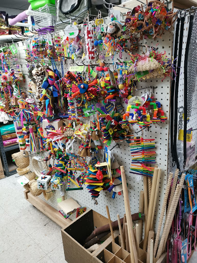 Pet Store «Animal Lovers Pet Shop», reviews and photos, 24028 Vista Montana, Torrance, CA 90505, USA