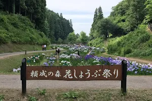 県民公園 頼成の森 image