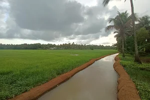 Field View , Malapallipuram image