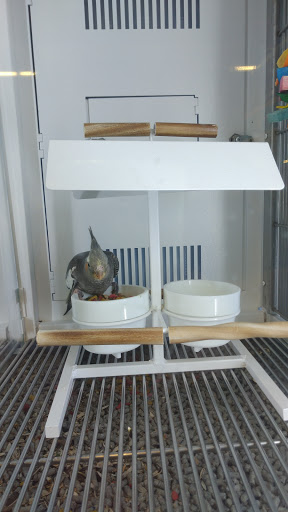 Pet Supply Store «Petco Animal Supplies», reviews and photos, 4491 Kirkwood Hwy, Wilmington, DE 19808, USA