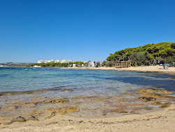 Photo de Spiaggia La Vecchia Torre et le règlement