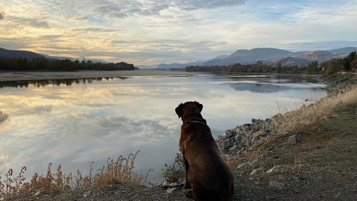 Valleyview Veterinary Clinic image