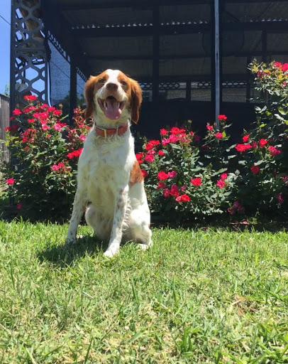 Barber Shop «Yellow Jacket Barber Shop», reviews and photos, 2006 S Goliad St # 222, Rockwall, TX 75087, USA