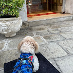 Photo n°1 de l'avis de Anna.r fait le 08/01/2023 à 06:48 sur le  Hotel Bel Sito e Berlino à Venice